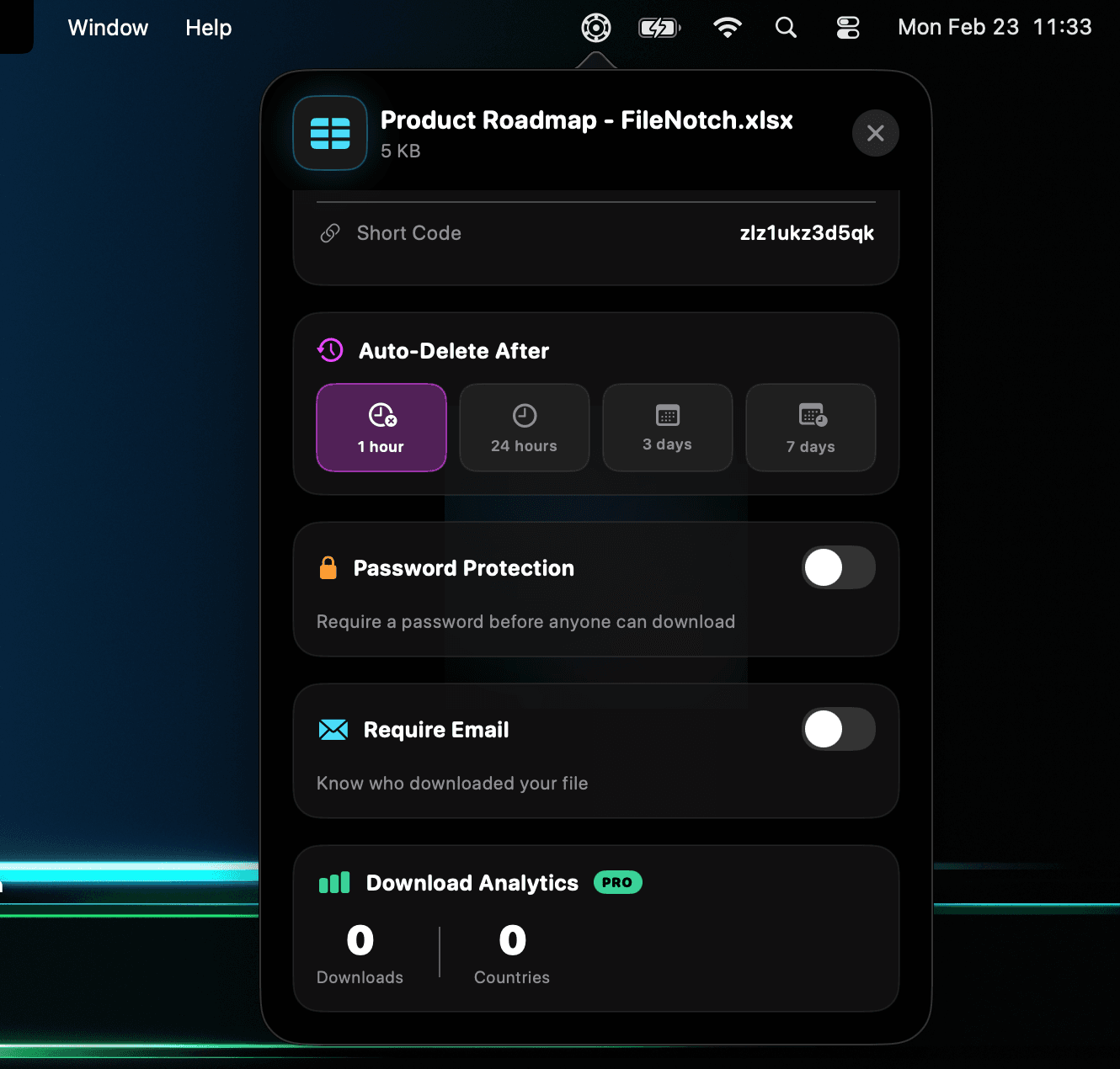 File details modal showing download count and analytics